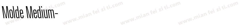 Molde Medium字体转换
